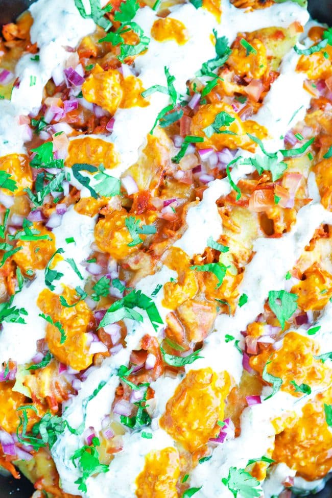 Super close up view of Chicken Tikka Nachos that are topped with Creamy Cooling Yogurt Sauce and Red Chili sauce, and garnished with freshly chopped coriander.