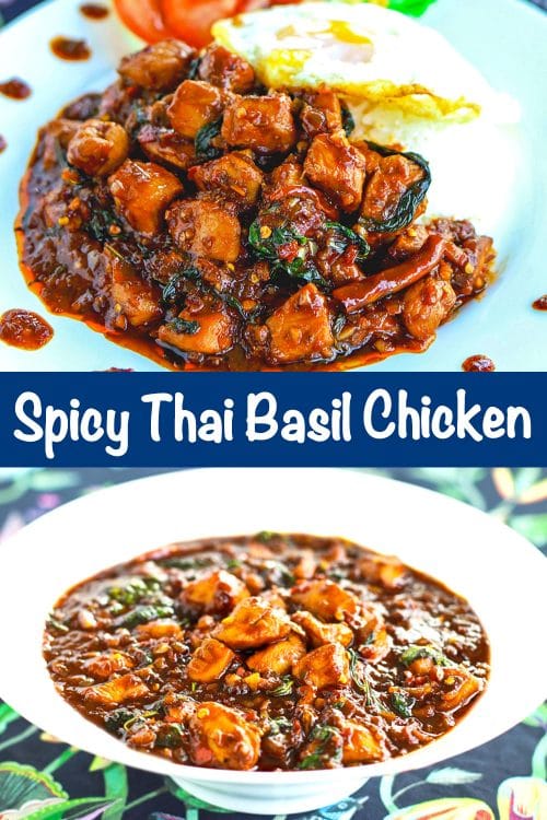 The BEST Spicy Thai Basil Chicken! That Spicy Chick