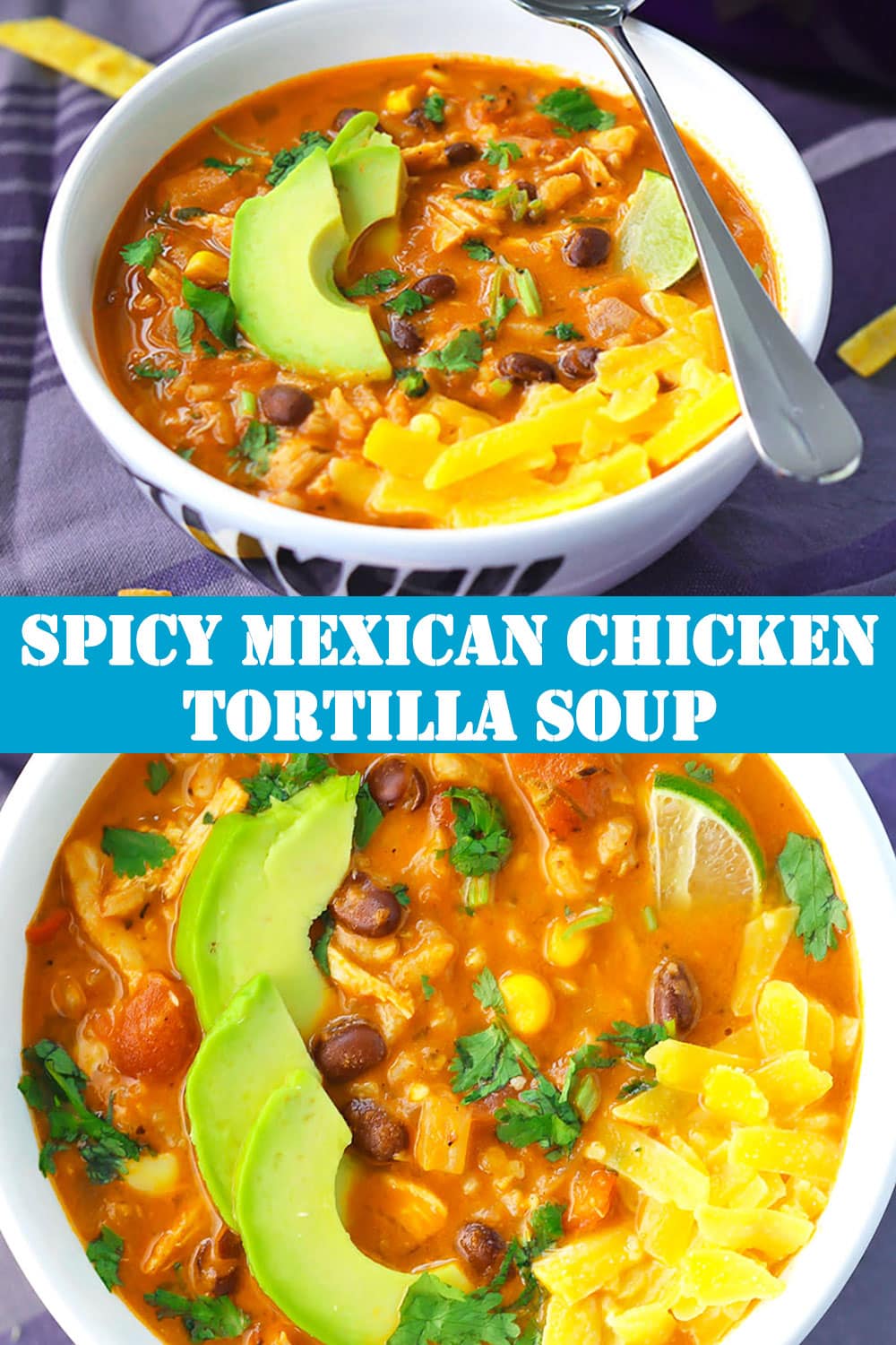 Spicy Mexican Chicken Tortilla Soup | That Spicy Chick