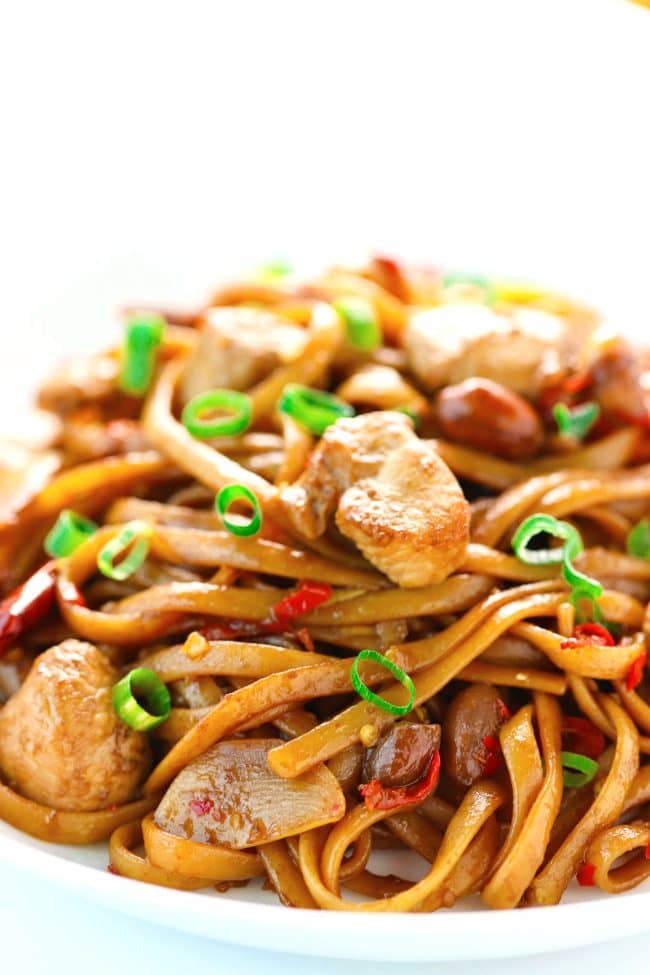 Spicy Asian chicken noodles with peanuts, ginger, garlic, and dried red chilies on plates