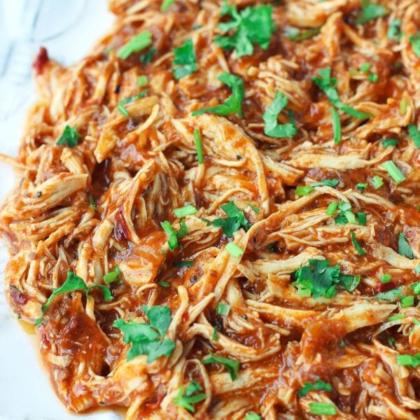 Spicy Mexican Shredded Chicken - That Spicy Chick