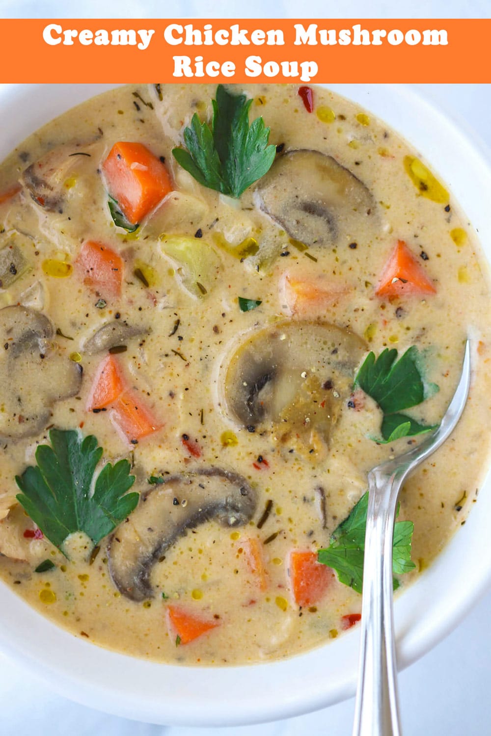 Creamy Chicken Mushroom Rice Soup - That Spicy Chick