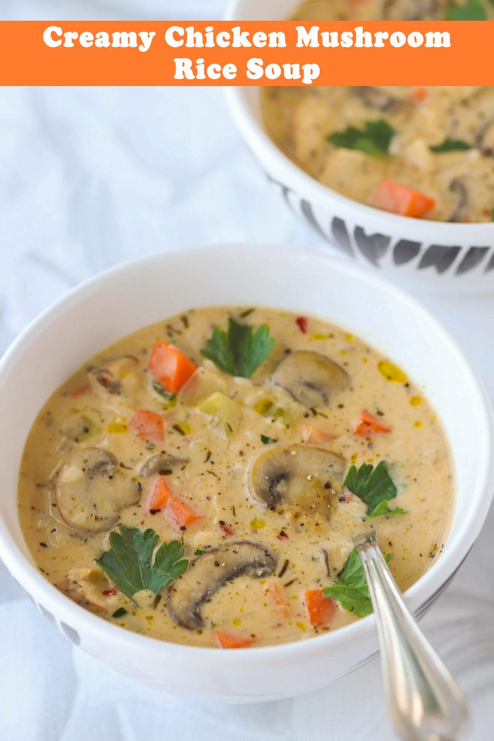 Creamy Chicken Mushroom Rice Soup - That Spicy Chick