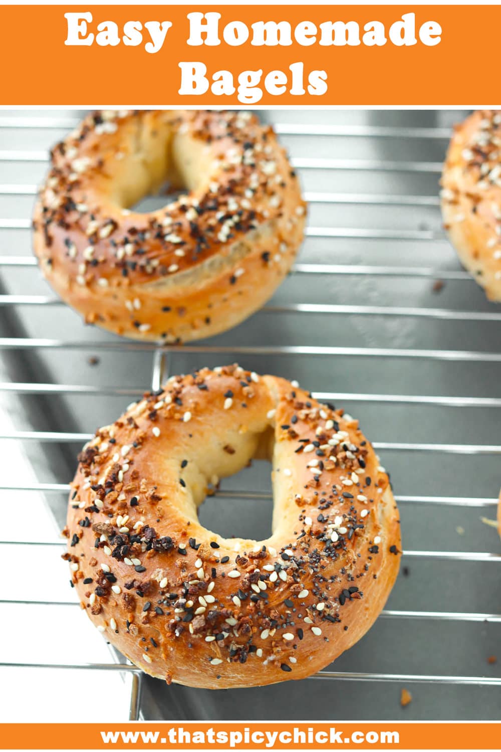 Easy Homemade Bagels (made with Greek yogurt!) - That Spicy Chick