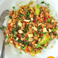 Ground pork and bok choy peanut sauce stir-fry on rice in plate with spoon and topped with sesame seeds, chopped peanuts, coriander, and spring onion.