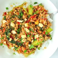 Ground pork peanut sauce and bok choy stir-fry on plate with rice and spoon, and topped with sesame seeds, chopped peanuts, coriander, and spring onion.