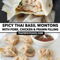 Close-up of bitten into wonton in a bowl, and front view of pan-fried wontons on a plate. Text overlay "Spicy Thai Basil Wontons with Pork, Chicken & Prawn Filling" and "thatspicychick.com".
