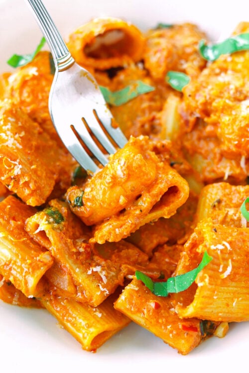 Spicy Vodka Pasta (with Juicy Jumbo Prawns!) That Spicy Chick