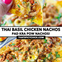 Hand holding up a chicken nachos, and front view of nachos on a plate. Text overlay "Thai Basil Chicken Nachos", "Pad Kra Pow Nachos!", and "thatspicychick.com".