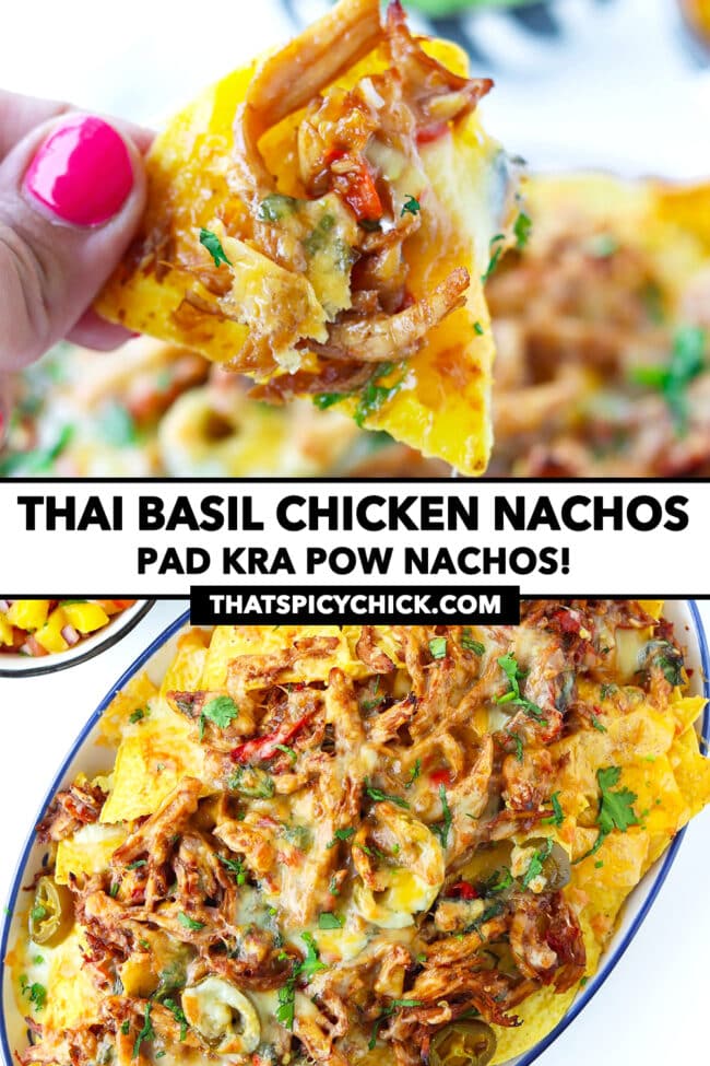 Hand holding up a chicken nachos, and top view of nachos on a plate. Text overlay "Thai Basil Chicken Nachos", "Pad Kra Pow Nachos!", and "thatspicychick.com".
