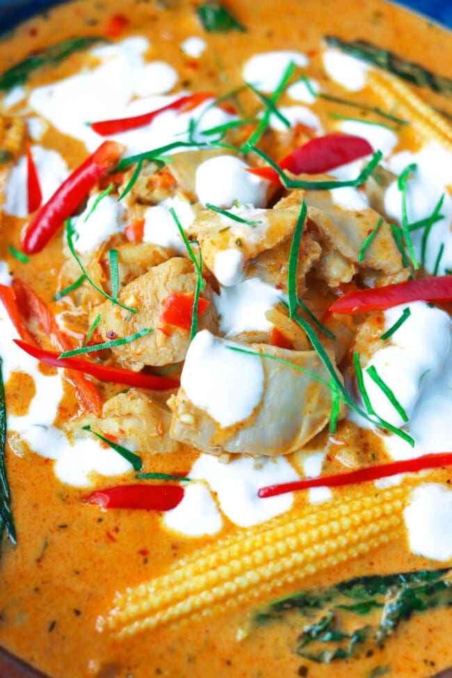 Close-up front view of chicken curry.