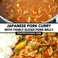 Curry in wok and close-up of curry and rice on plate. Text overlay "Japanese Pork Curry", "With Thinly Sliced Pork Belly", and "thatspicychick.com"