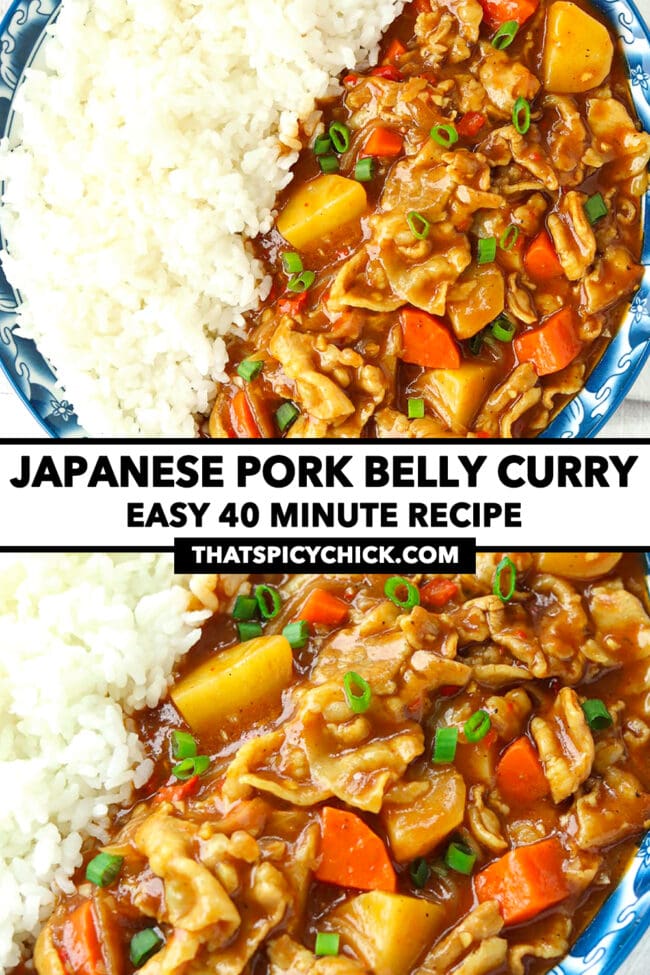 Close-up top and front view of plate with curry and rice. Text overlay "Japanese Pork Belly Curry", "Easy 40 Minute Recipe", and "thatspicychick.com"