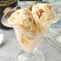 Front view of dessert glass with ice cream and a spoon. Text overlay "Baileys Salted Caramel Peanut Butter Ice Cream (No Churn)" and "thatspicychick.com".