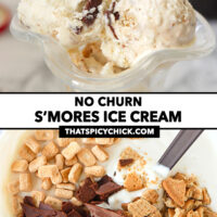Ice cream scoop in a paper carton, and mixture in a mixing bowl. Text overlay "No Churn S'mores Ice Cream" and "thatspicychick.com".