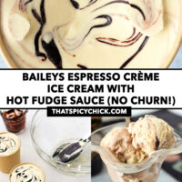 Ice cream in brown paper cartons and in dessert glass. Text overlay "Baileys Espresso Crème Ice Cream with Hot Fudge Sauce (No Churn!)", and "thatspicychick.com".