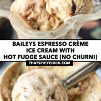 Front view of ice cream in dessert glass with a spoon, and close-up front view in carton. Text overlay "Baileys Espresso Crème Ice Cream with Hot Fudge Sauce (No Churn!)", and "thatspicychick.com".