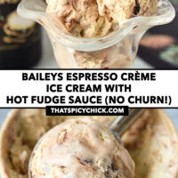 Front view of ice cream in a dessert glass, and in paper carton. Text overlay "Baileys Espresso Crème Ice Cream with Hot Fudge Sauce (No Churn!)", and "thatspicychick.com".