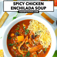 Soup in two bowls. Text overlay "Spicy Chicken Enchilada Soup" and "thatspicychick.com".