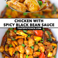 Spoon holding up a bite, and chicken stir-fry in a bowl. Front view closeup of chicken stir-fry in a serving bowl. Text overlay "Chicken with Spicy Black Bean Sauce" and "thatspicychick.com".