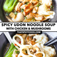 Front view of soup noodles bowl, and noodle soup bowl with chopsticks . Text overlay "Spicy Udon Noodles with Chicken & Mushrooms" and "thatspicychick.com".