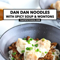 Bowl with noodles, ground pork, and wontons. Text overlay "Dan Dan Noodles with Spicy Soup & Wontons" and "thatspicychick.com".