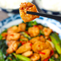 Chopsticks holding up piece of chicken above plate with stir-fry. Text overlay "XO Sauce Chicken & Chinese Broccoli Stir-fry" and "thatspicychick.com".