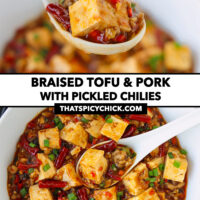 Spoon holding up spicy tofu and ground pork and bowl with tofu dish. Text overlay "Braised Tofu & Pork with Pickled Chilies" and "thatspicychick.com".