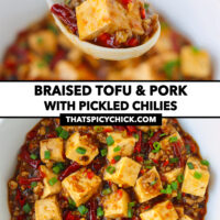 Spoon holding up spicy tofu and ground pork and bowl with spicy tofu dish. Text overlay "Braised Tofu & Pork with Pickled Chilies" and "thatspicychick.com".
