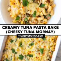 Cream sauce pasta with cheese topping on a plate and in dish. Text overlay "Creamy Tuna Pasta Bake (Cheesy Tuna Mornay)" and "thatspicychick.com".
