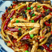 Closeup of spicy garlic sauce chicken stir-fry on a plate. Text overlay "Yu Xiang Chicken", "Sichuan Shredded Chicken with Spicy Garlic Sauce", and "thatspicychick.com".