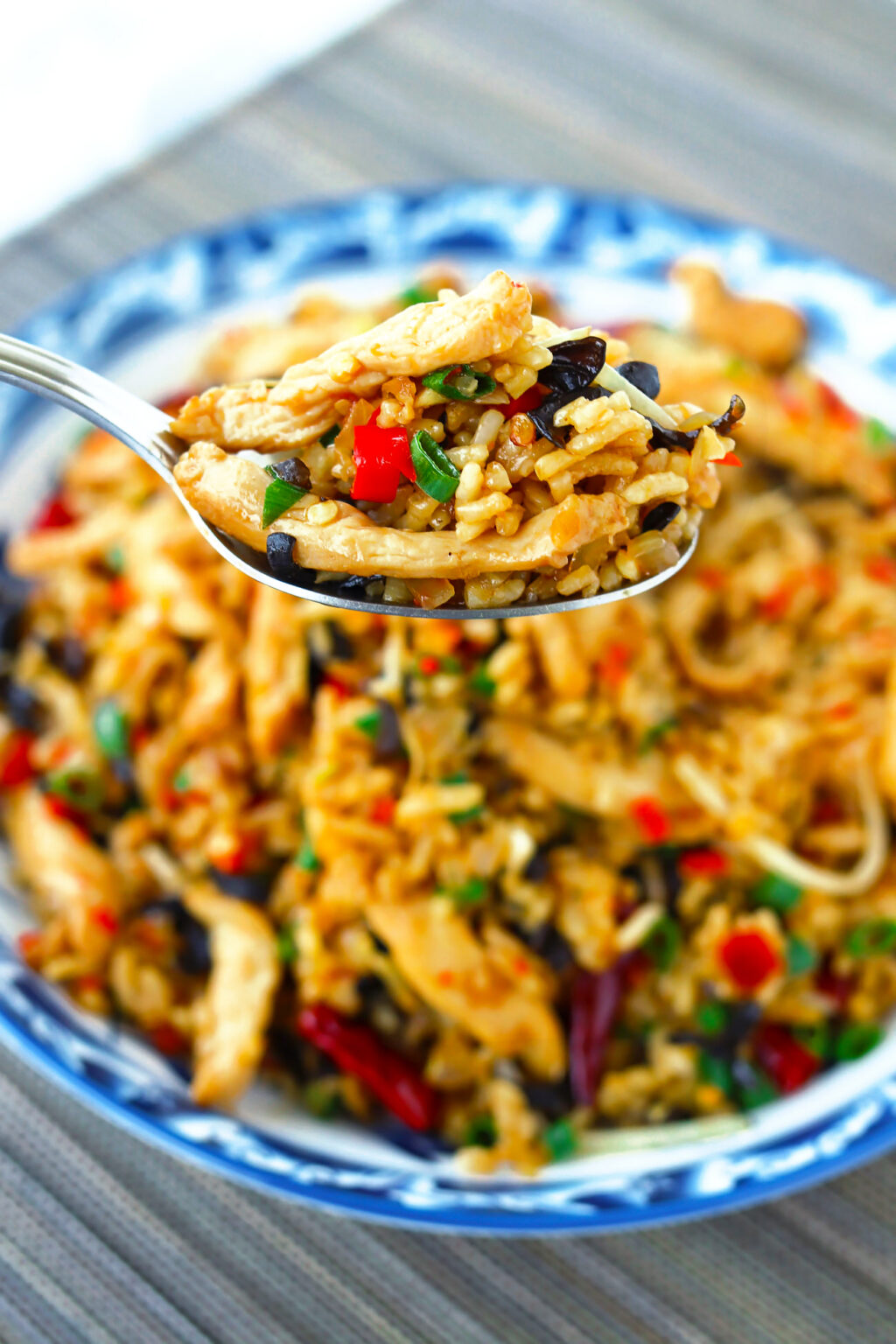 Sichuan Chili Garlic Chicken Fried Rice (Yu Xiang Style) That Spicy Chick