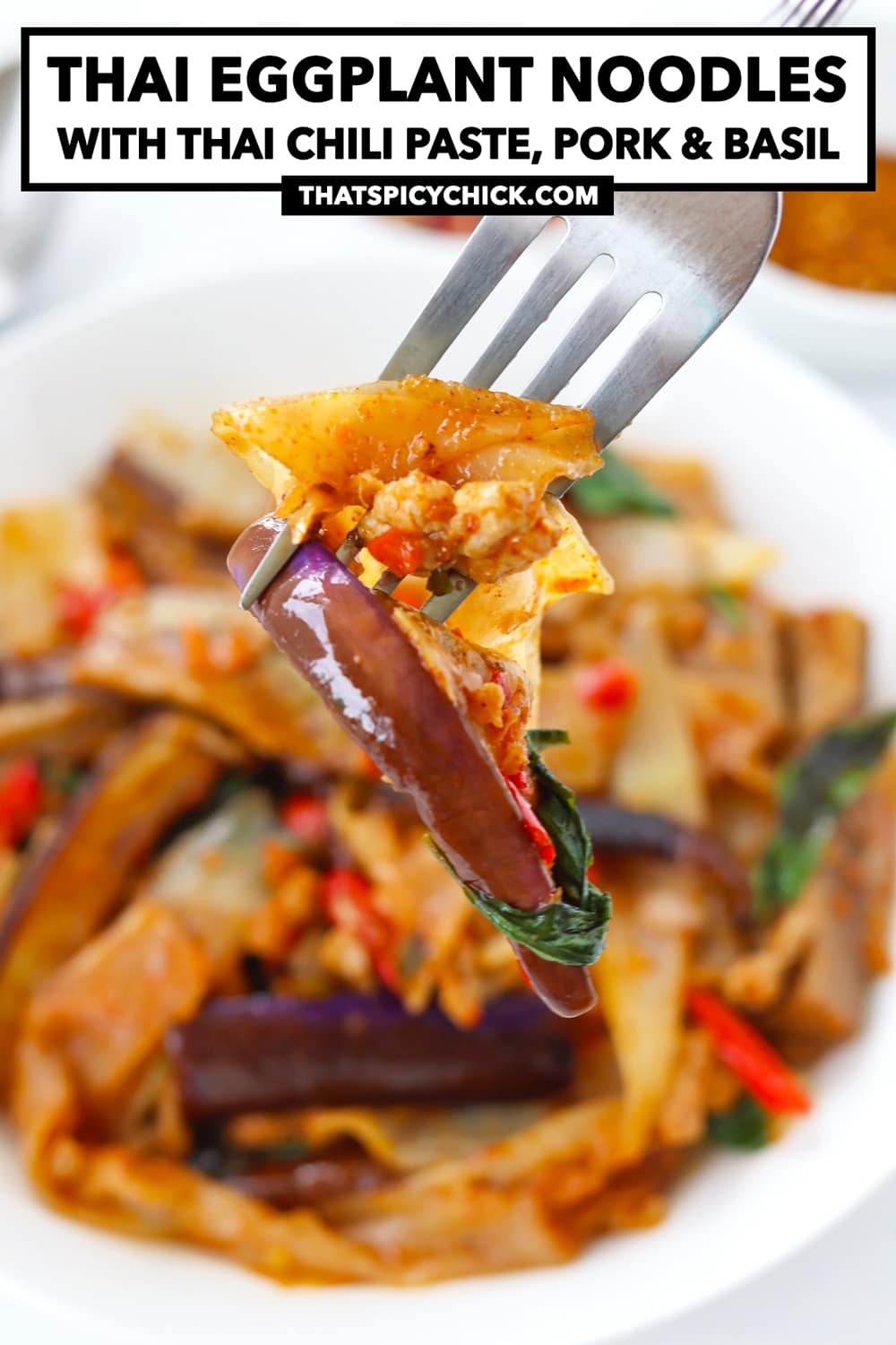 Thai Eggplant Noodles (with Chili Jam, Pork & Basil) That Spicy Chick