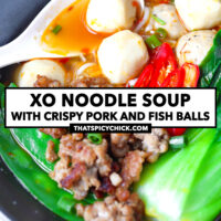 Closeup of fish ball and broth on a spoon in a bowl with noodle soup. Text overlay "XO Noodle Soup with Crispy Pork and Fish Balls" and "thatspicychick.com".