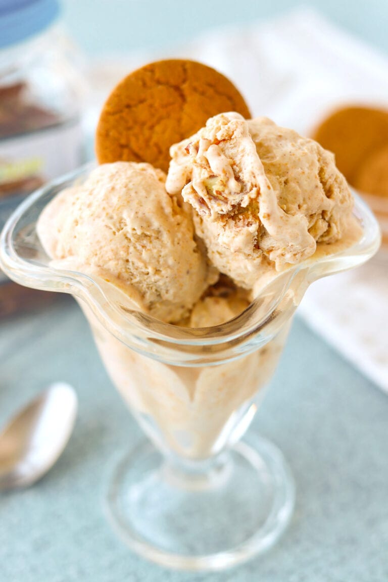 Pumpkin pie spice ice cream scoops in a sundae glass with a ginger snap cookie.