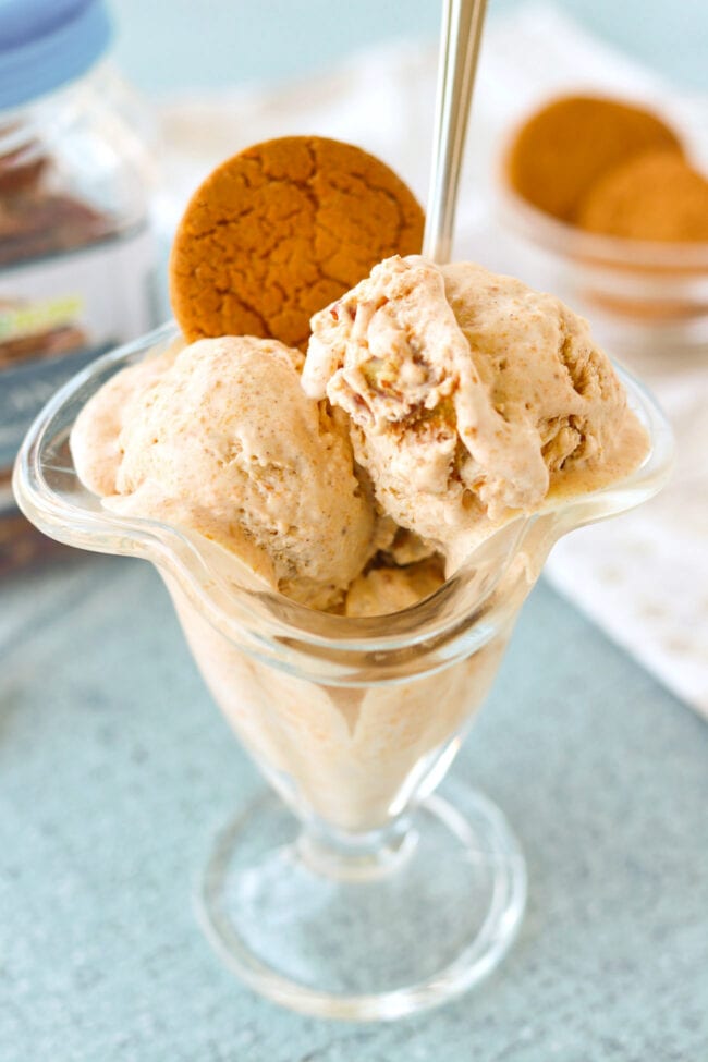 Pumpkin ice cream scoops in a dessert glass with a spoon and ginger snap cookie.