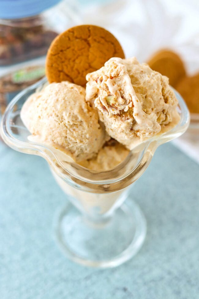 Closeup of pumpkin pie ice cream scoops in a dessert glass with a ginger snap cookie.