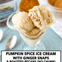 Ice cream scoops and gingers nap cookie in a dessert glass. Text overlay "Pumpkin Spice Ice Cream with Ginger Snaps & Roasted Pecans (No Churn)" and "thatspicychick.com".