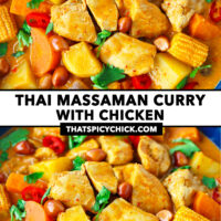 Closeup of chicken curry with veggies and roasted peanuts. Text overlay "Thai Massaman Curry with Chicken" and "thatspicychick.com".