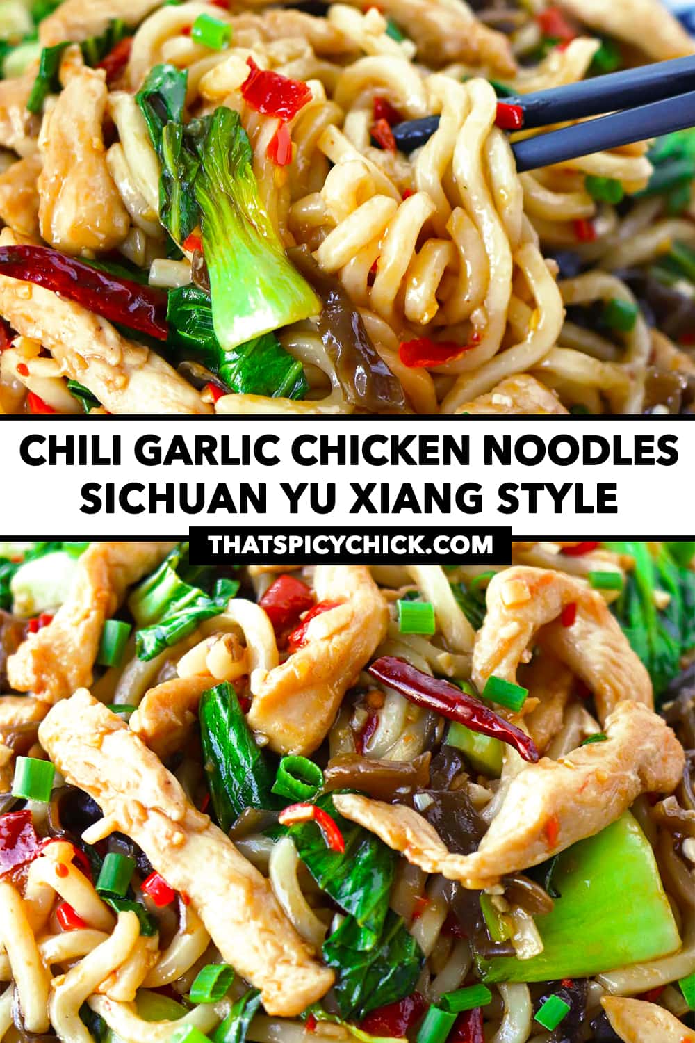 Chili Garlic Chicken Noodles (Sichuan Yu Xiang Style) That Spicy Chick