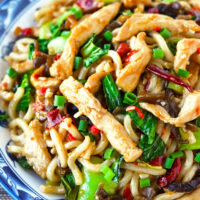 Closeup of stir-fried spicy noodles with chicken on a plate. Text overlay "Chili Garlic Chicken Noodles", "Sichuan Yu Xiang Style" and "thatspicychick.com".