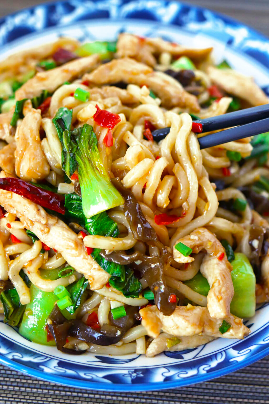 Chili Garlic Chicken Noodles (Sichuan Yu Xiang Style) That Spicy Chick