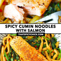 Salmon fillet flaked with a fork and salmon on plate with stir-fried noodles. Text overlay "Spicy Cumin Noodles with Salmon" and "thatspicychick.com".