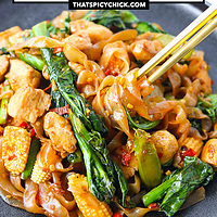 Noodles twirled around chopsticks in a plate with stir-fried chicken noodles. Text overlay "Shirataki Drunken Noodles" and "thatspicychick.com".