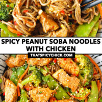 Chopsticks pulling up peanut noodles and chicken noodles stir-fry on a plate. Text overlay "Spicy Peanut Soba Noodles with Chicken" and "thatspicychick.com".