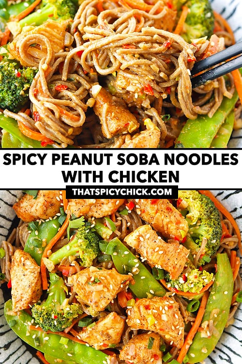 Spicy Peanut Soba Noodles with Chicken That Spicy Chick