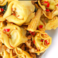 Closeup of tortellini and ground chicken stir-fry on a spoon in a plate. Text overlay "Thai Basil Chicken Tortellini" and "thatspicychick.com"