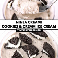 Spoon with bite of oreo ice cream and ice cream front view in pint. Text overlay "Ninja Creami Cookies & Cream Ice Cream" and "thatspicychick.com".