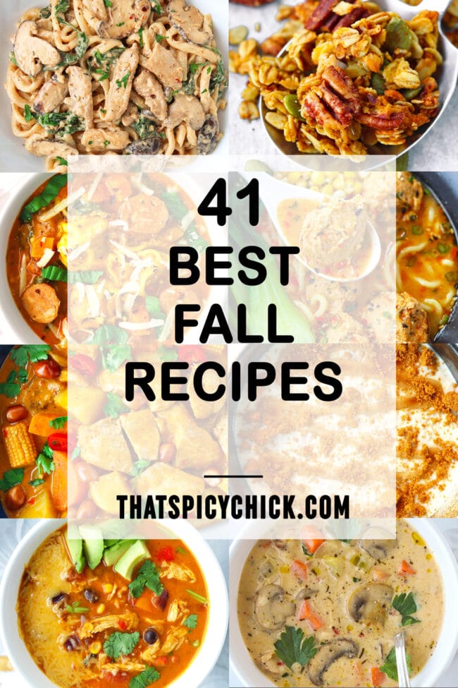 Collage of fall recipes. Text overlay "41 Best Fall Recipes" and "thatspicychick.com".
