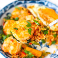 Spoon holding up a bite of fried rice with shrimp above a plate. Text overlay "Thai Tom Yum Fried Rice with Shrimp" and "thatspicychick.com".